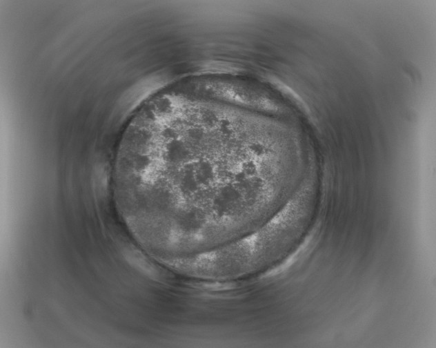 X0000113371401200910131311