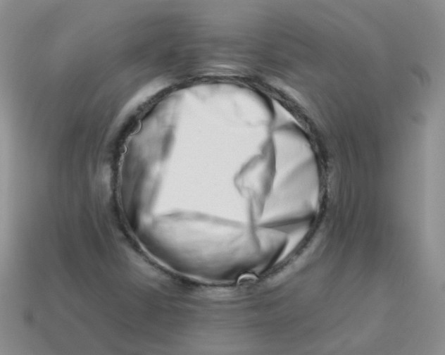 X0000113371402200910131311