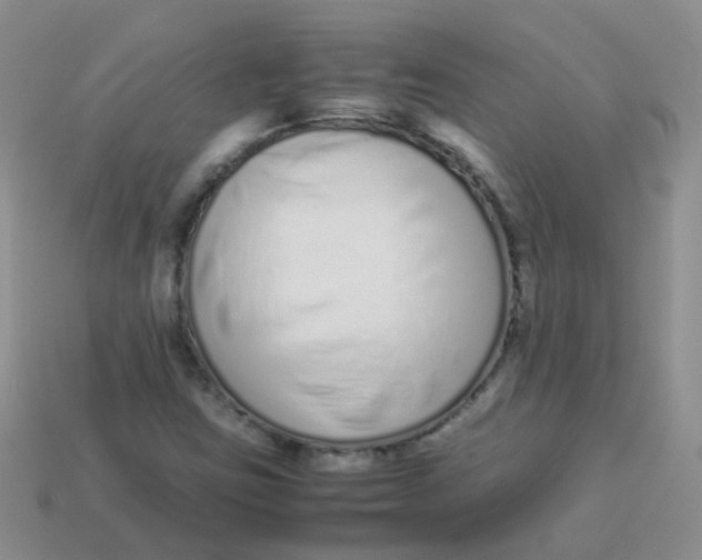 X0000113371403200910131311
