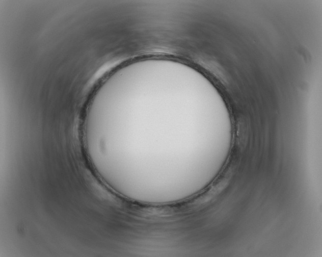X0000113371404200910131311