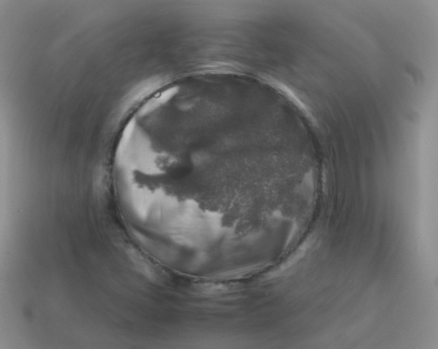 X0000113371405200910131311