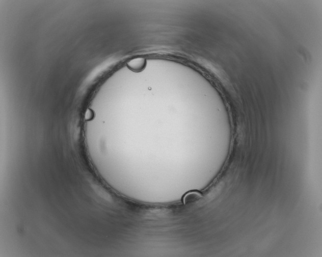 X0000113371406200910131311