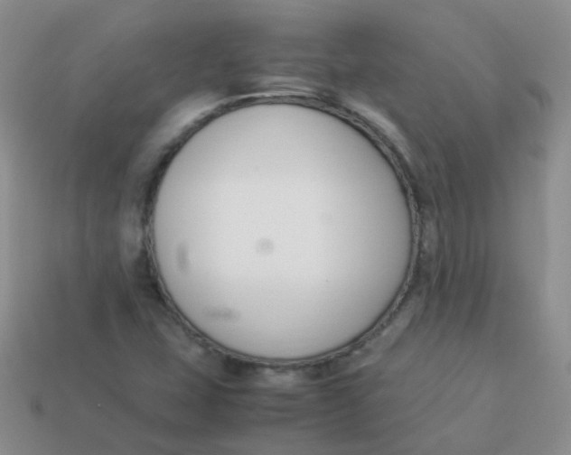 X0000113371407200910131311