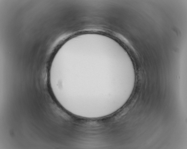 X0000113371408200910131311