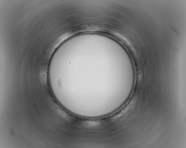 X0000113371409200910131311