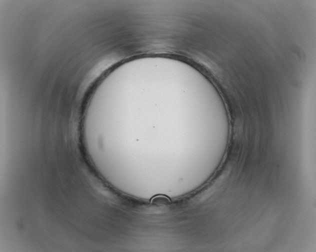 X0000113371410200910131311