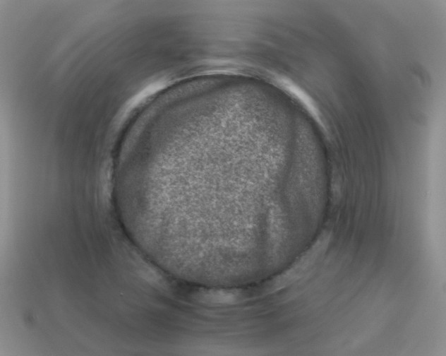 X0000113371411200910131311