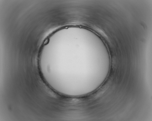 X0000113371412200910131311