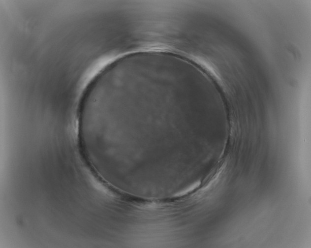 X0000113371414200910131311