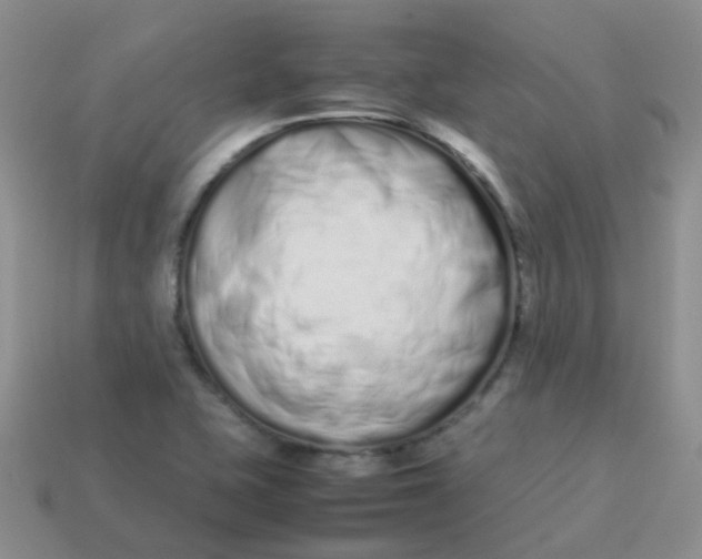 X0000113371415200910131311