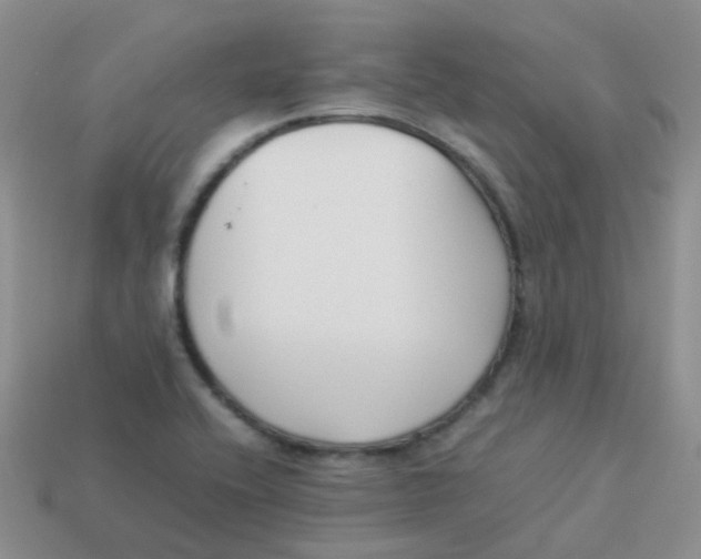 X0000113371416200910131311