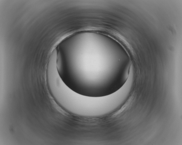 X0000113371417200910131311