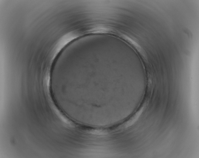 X0000113371418200910131311