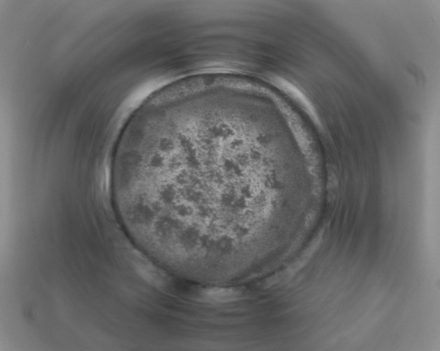 X0000113371419200910131311