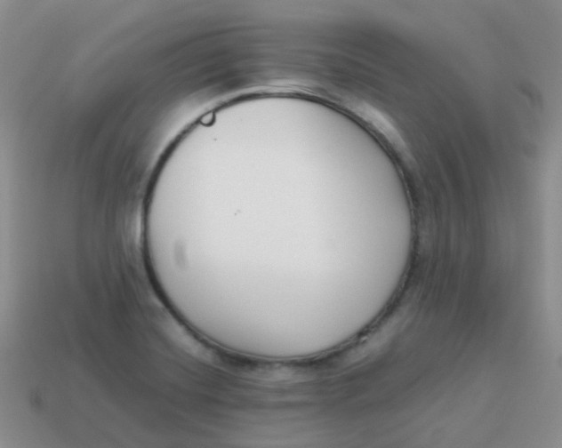 X0000113371420200910131311