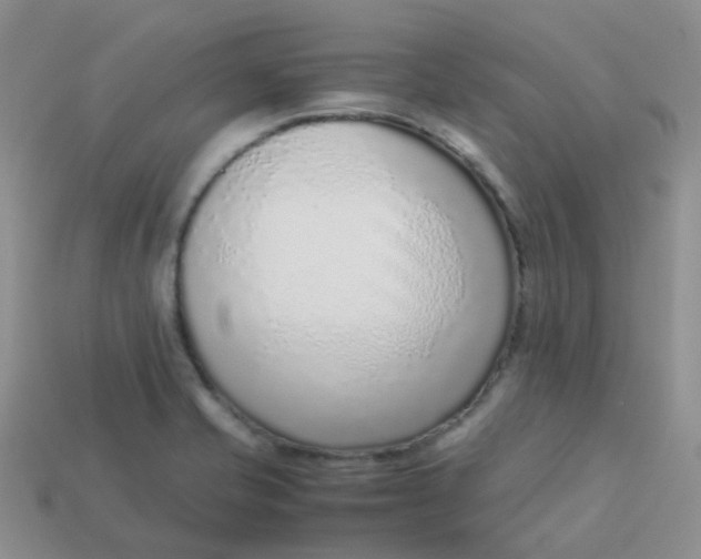 X0000113371421200910131312