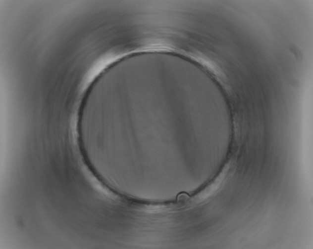 X0000113371422200910131312