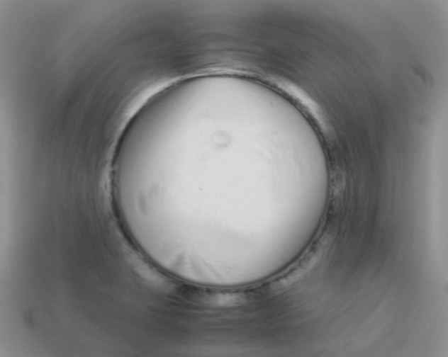 X0000113371423200910131312