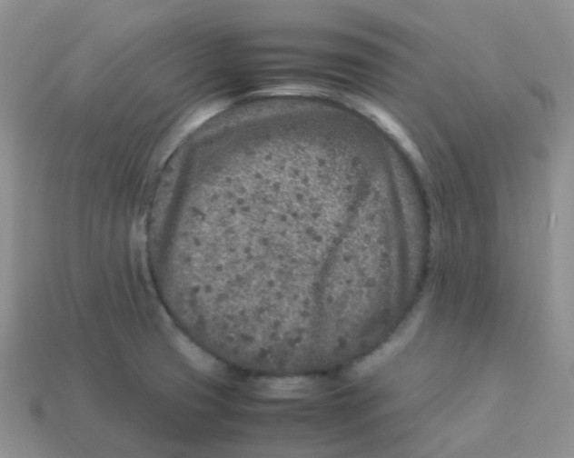 X0000113371425200910131312