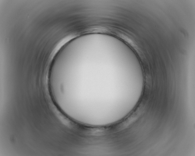 X0000113371426200910131312