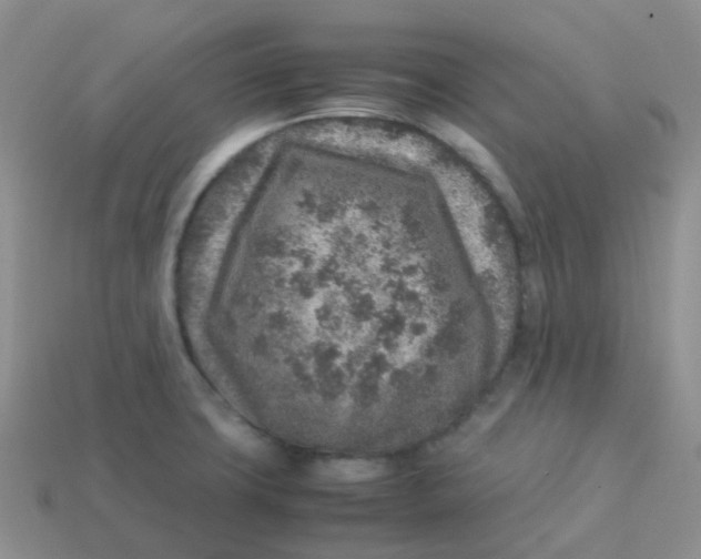 X0000113371427200910131312