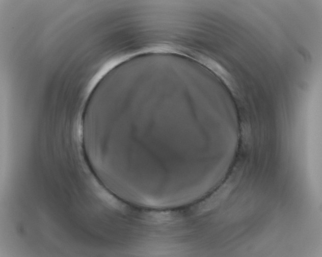 X0000113371428200910131312