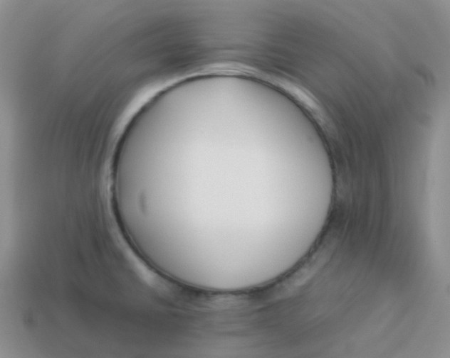 X0000113371430200910131312
