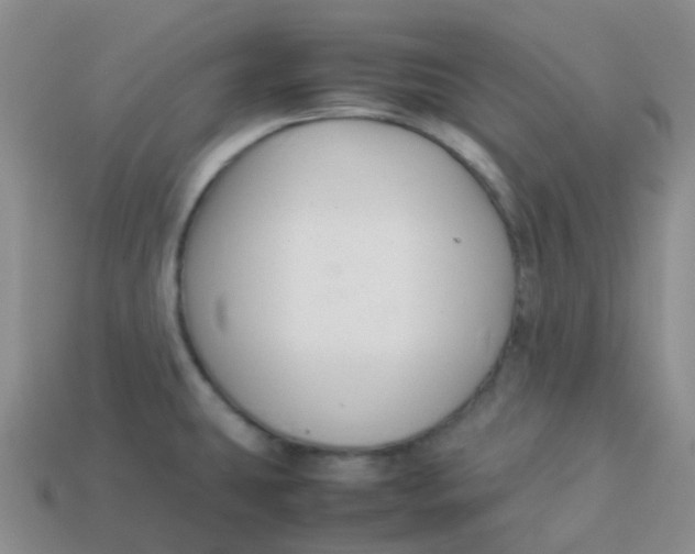 X0000113371431200910131312