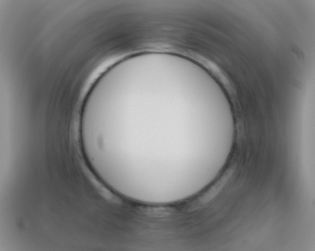 X0000113371432200910131312