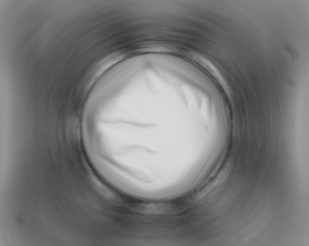 X0000113371433200910131312