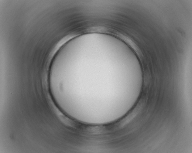X0000113371434200910131312
