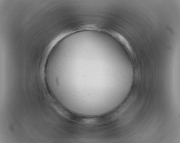 X0000113371435200910131312