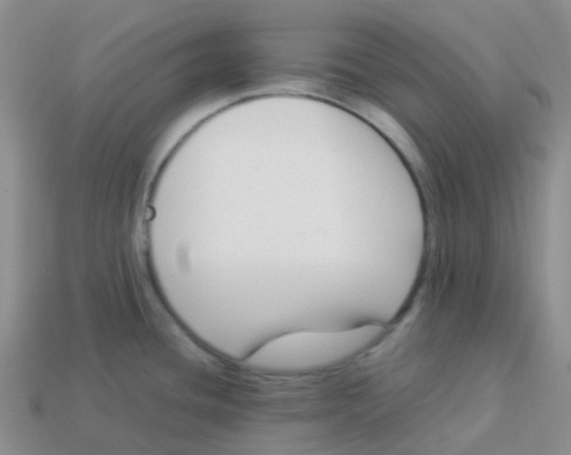 X0000113371436200910131312