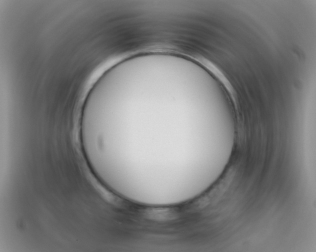 X0000113371437200910131312