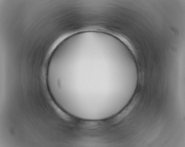 X0000113371438200910131312