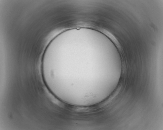 X0000113371439200910131312