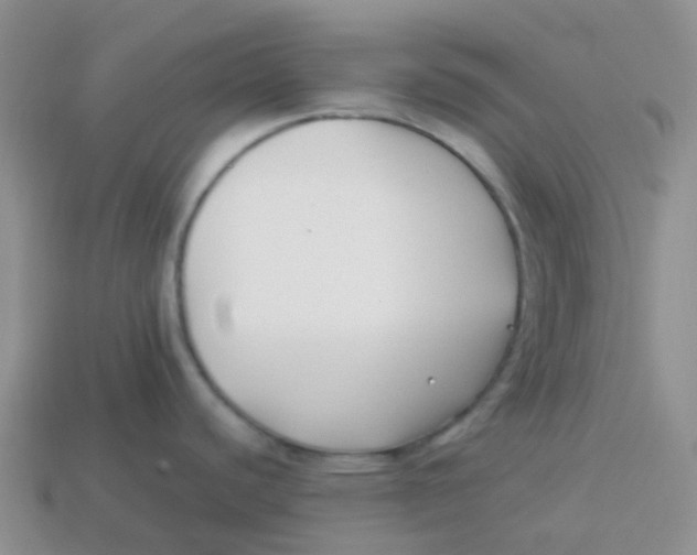 X0000113371440200910131312