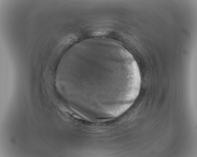 X0000113371441200910131311