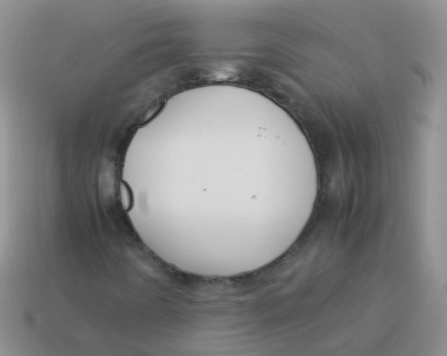 X0000113371442200910131311