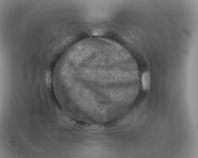 X0000113371443200910131311