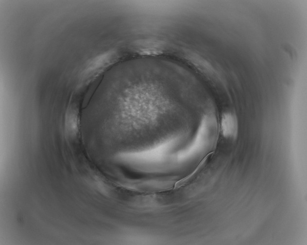 X0000113371444200910131311