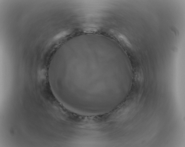 X0000113371445200910131311