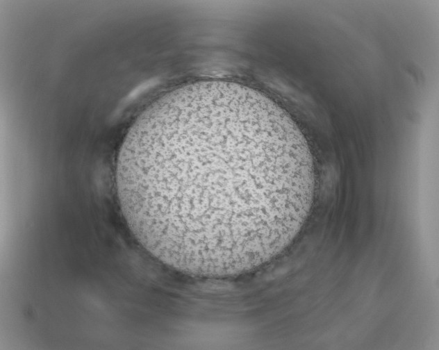 X0000113371446200910131311
