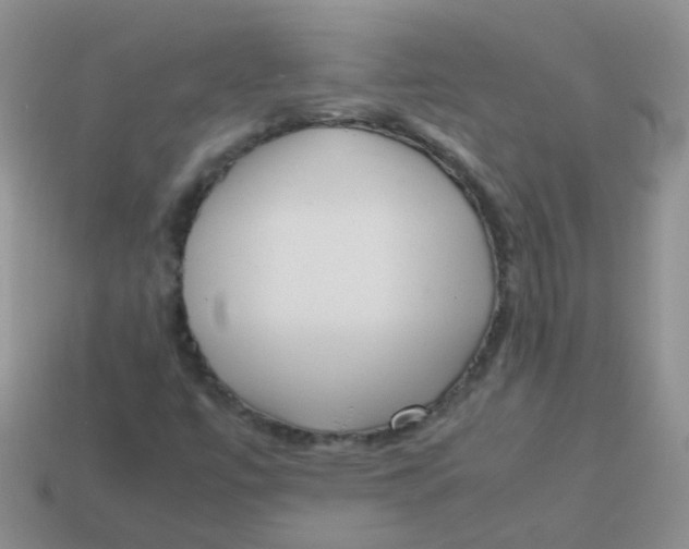 X0000113371447200910131311
