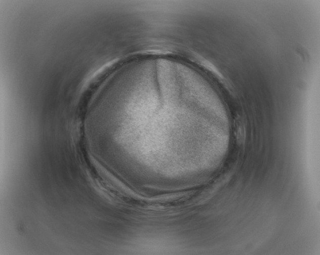 X0000113371448200910131311