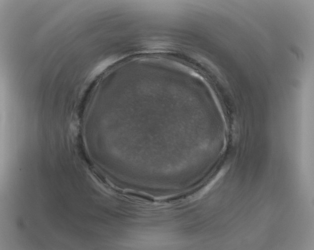 X0000113371449200910131311