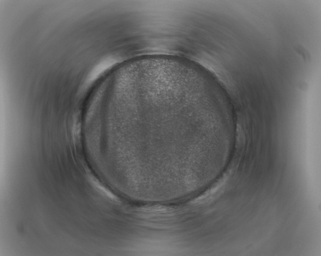 X0000113371450200910131311