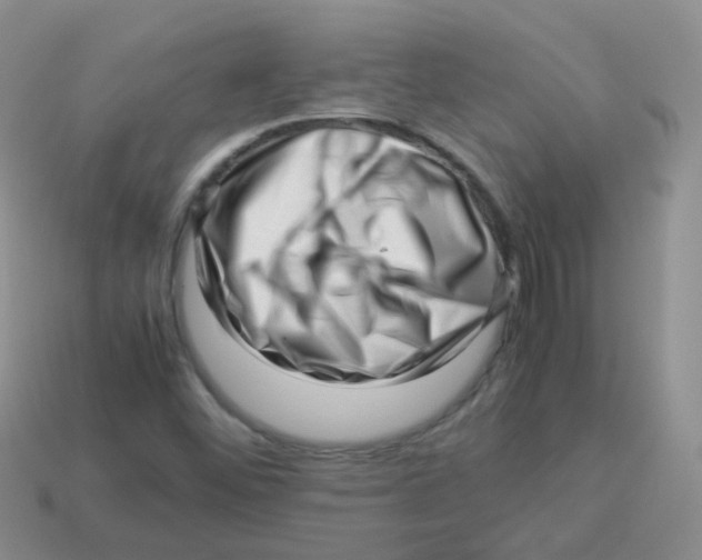 X0000113371452200910131311
