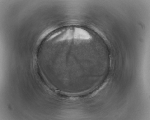X0000113371453200910131311
