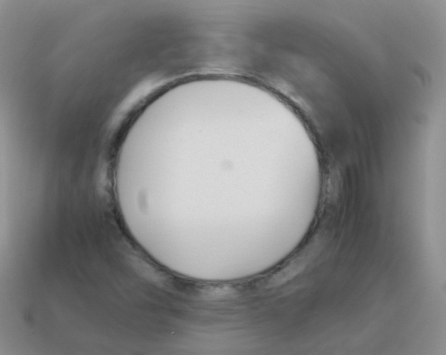 X0000113371454200910131311